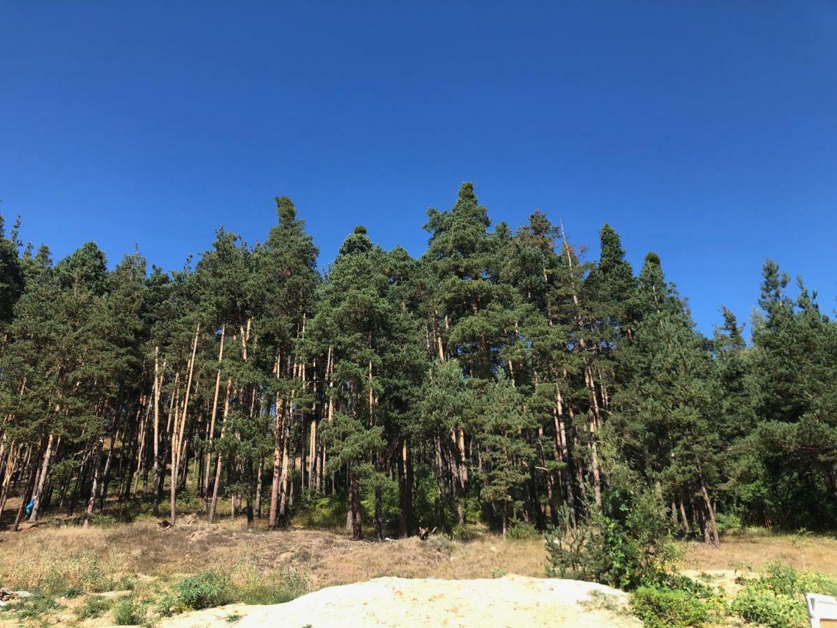 Appartamento Borov Park 3 Velingrad Esterno foto