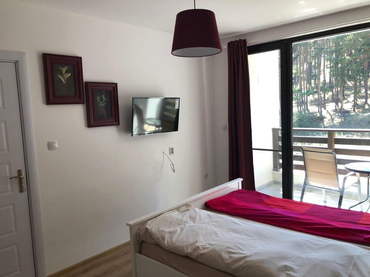 Appartamento Borov Park 3 Velingrad Esterno foto