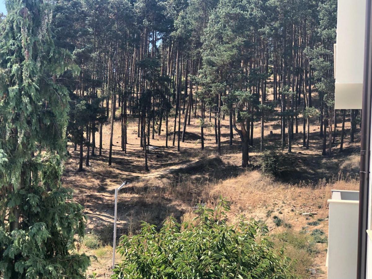 Appartamento Borov Park 3 Velingrad Esterno foto